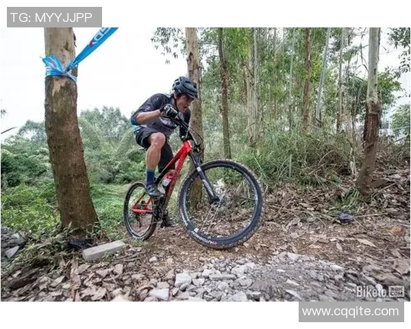 极限运动的魅力与策略：深入分析杭州极限运动队的战术与训练秘诀