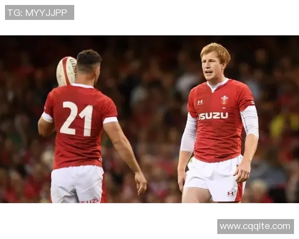 格鲁吉亚与威尔士激战正酣比分揭晓引发热议