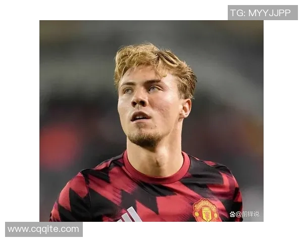 霍伊伦的传奇人生与时代变迁中的不屈精神探索