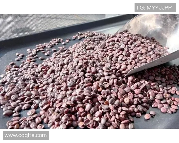 陈强独家分享篮球心得与技巧助你提升球技的全面指南